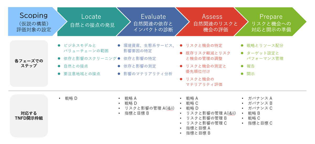 LEAPアプローチによる開示サポート