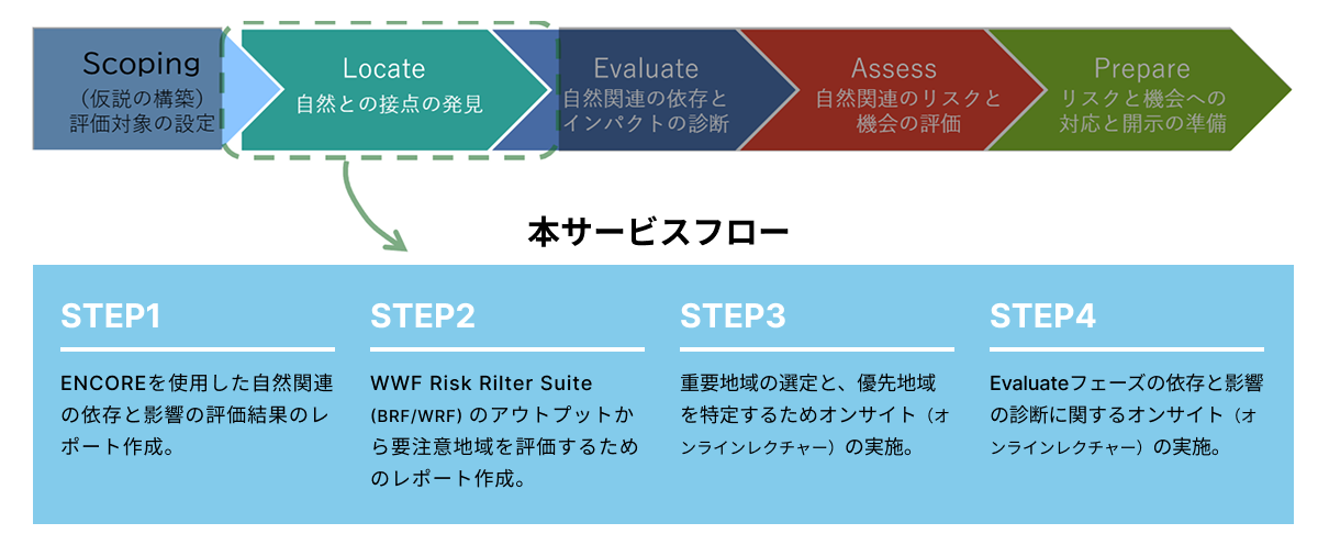 TNFDレポーティングサービス